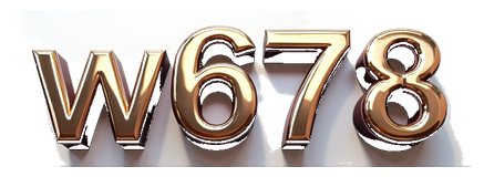 w678 logo